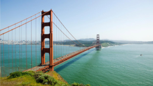 Cash for criminals? San Francisco to pay people “at risk” of committing gun violence hundreds of dollars a month to not shoot each other