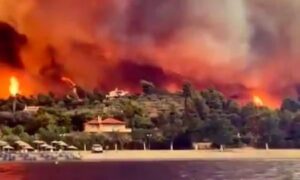 Largest Wildfire Ever Recorded in the EU Caused by Arson, Not Climate