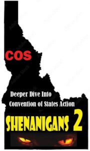 Deeper Dive Into Convention of States Action
