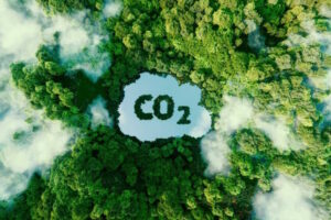 Climate Agenda Makes Vital CO2 a Dangerous Pollutant