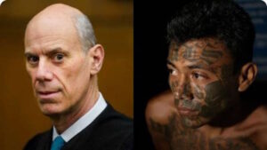 Here is the Most Important Question in History: Why are Democrat Politicians and Judges So Hysterical and Desperate to Protect Illegal Alien Thugs, Gangsters, Gangbangers & Terrorists?