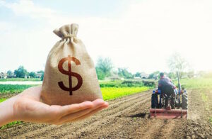 Safeguarding American soil: The U.S. bans Chinese ownership of farmland amid rising national security concerns