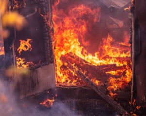 Cutting the threat of giant wildfires by axing harmful Clinton-era forest policies