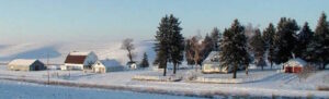 "Big Wind" Destroys Family Farms