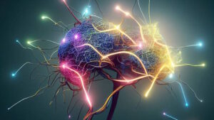 How diet and neurotransmitters shape your brain power: Keys to mental clarity and longevity