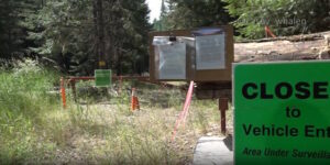 Battle Over The West Fork Pine Creek