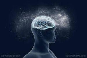 Unlocking the power of self-healing with Robert Ornstein and David Sobel’s “The Healing Brain”