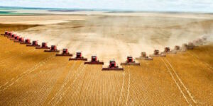 Killing Family Farms By Corporatism