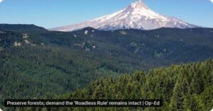 Forest Service Roadless Rollback Would be a Fiscal Disaster
