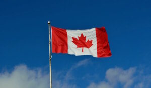 Constitutional lawyer warns Canadians against “apathy” as Ottawa expands online speech laws