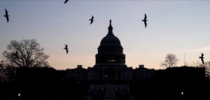 What If Democrats Are Responsible for Everything Bad That Happens?