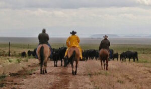 Fake hate in the West: SPLC’s attacks on Western ranchers