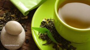 Green tea linked to fewer brain lesions, offering dementia protection, large Japanese study finds