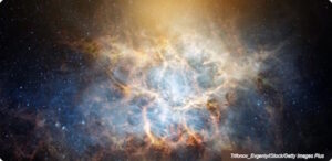 Charles Murray’s Budding Faith: Is Science Finally Finding God?