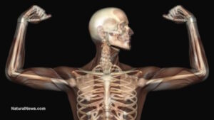 Muscle as medicine: Dr. Gabrielle Lyon’s revolutionary approach to longevity