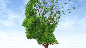 Nature’s arsenal: How kitchen herbs and common supplements outperform billion-dollar Alzheimer’s drugs