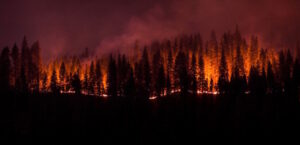 What can Spokane do to avoid what happened in California and Hawaii