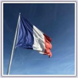 Can French Ignorance Save America?